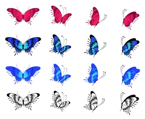 Verduisterende gordijnen Vlinders Mooie vlinder