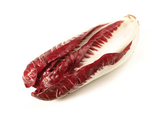 Radicchio trevisiano © ExQuisine