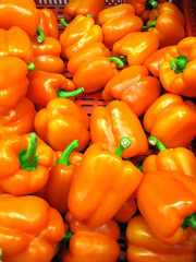 Obraz na płótnie Canvas Pimentos - Pepper - Malagueta - Legumes
