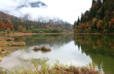 Forest lake in autumn