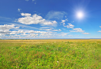 field under blue cloudy sky whit sun