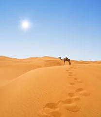 Zelfklevend Fotobehang desert and camel © Alexander Ozerov