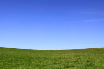 grüne wiese und blauer himmel