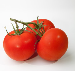 Tomatoes on vine
