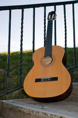 Acoustic Guitar