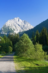 Naklejka premium valle alpina