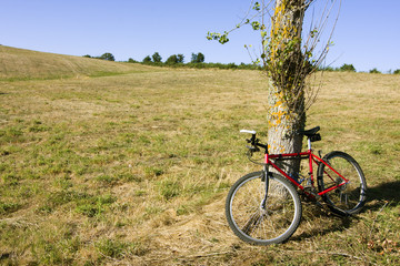 bicicleta y paisaje