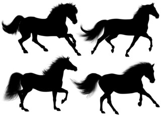 Cavallo selvaggio Sagome-Wild Horse shapes-Cheval Silhouette-3