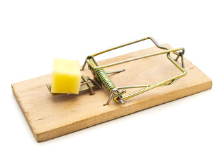 mouse trap