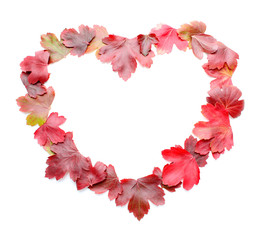 Heart from red leaves, isolated.