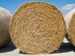 Haystack. Puglia.