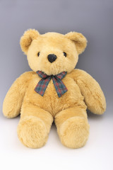 Obraz premium クマのぬいぐるみ