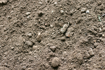 Soil