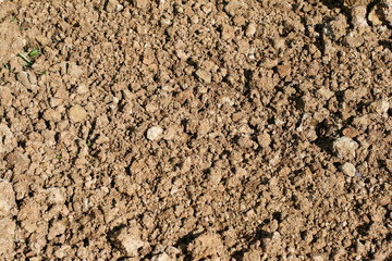 Soil