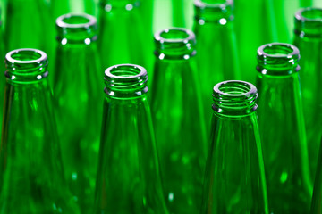 rows of green beer bottles