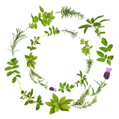 Herb Leaf Abstract Design