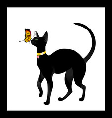 Beautiful black cat on a white background with the butterfly