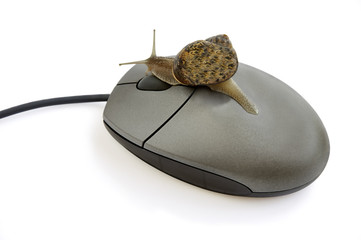 Snail pressing mouse button over white with cliping path.