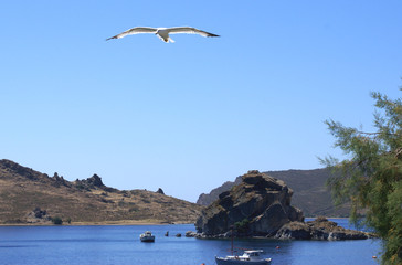 Fototapeta na wymiar W zatoce Grikos