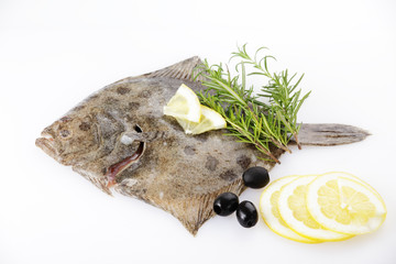 Raw turbot with ingredients