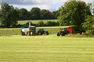 Silaging
