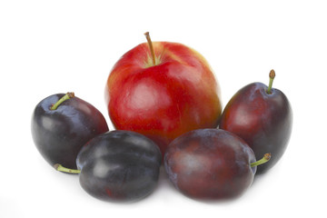 Apple and plums