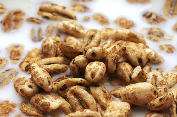 Orzo soffiato nel latte