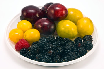 Allsorts