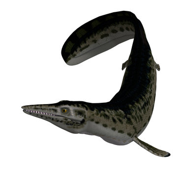 Dinosaur Mosasaur