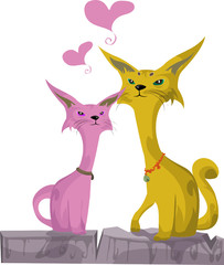 two cats in love