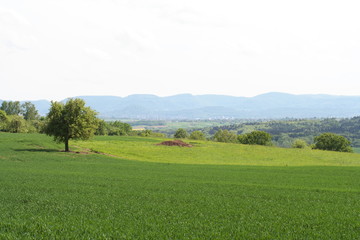 Obraz premium Blick auf Albtrauf / Schwäbische Alb