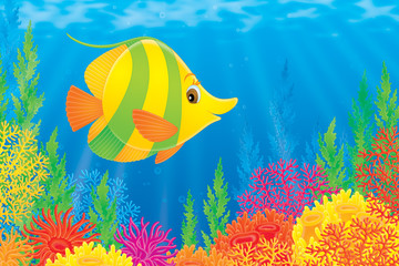 Obraz na płótnie Canvas Coral fish