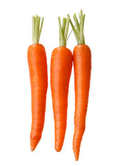 Carrot.