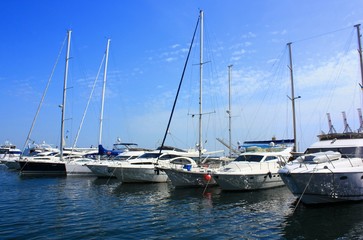 Obraz premium a row of yachts anchored in the harbor