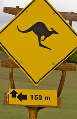 Kangaroo sign