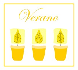 verano