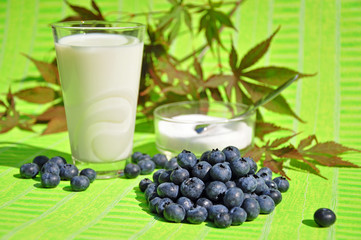Blaubeeren mit Milch und Zucker