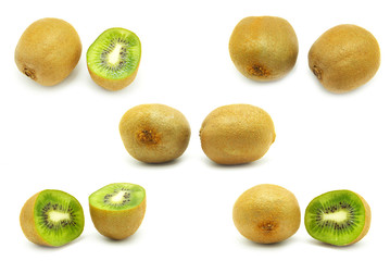 kiwi