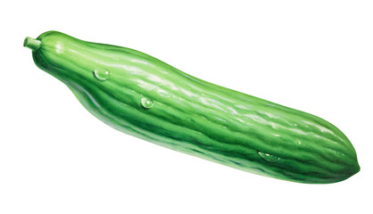 Salatgurke