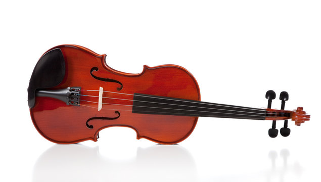 Classical Violin on White