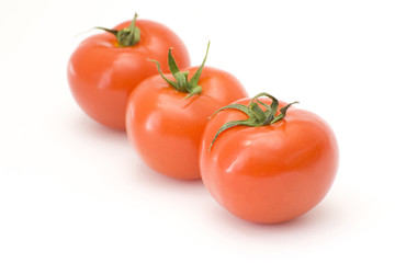 fresh tomatoes