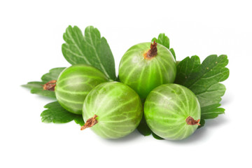 gooseberry,  among green leaves