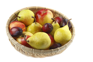 Fruit