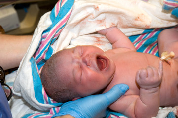Newborn baby boy