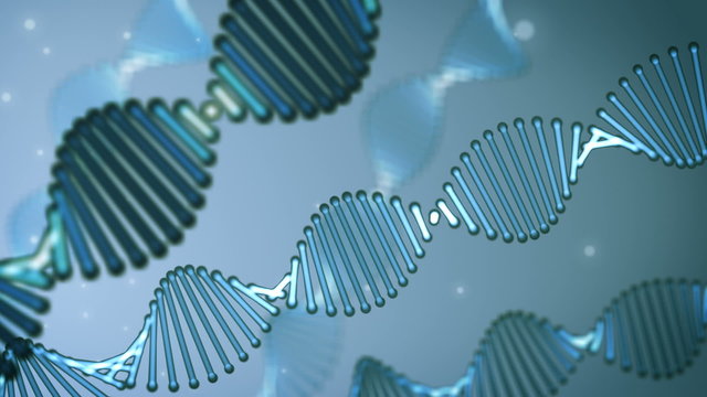 Rotating DNA loop