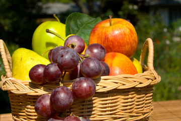 Still life fruit
