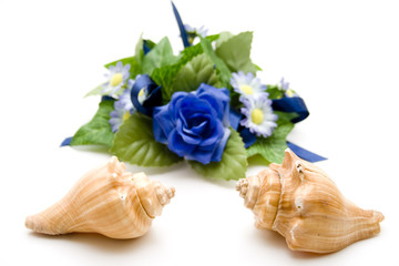 Muschel mit Blume