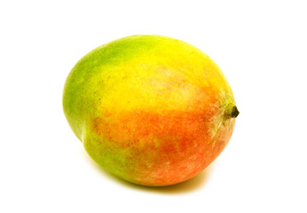 single mango on white background