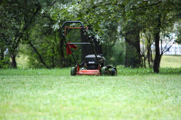 red lawn mower in fresh  grass