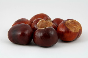 chestnuts